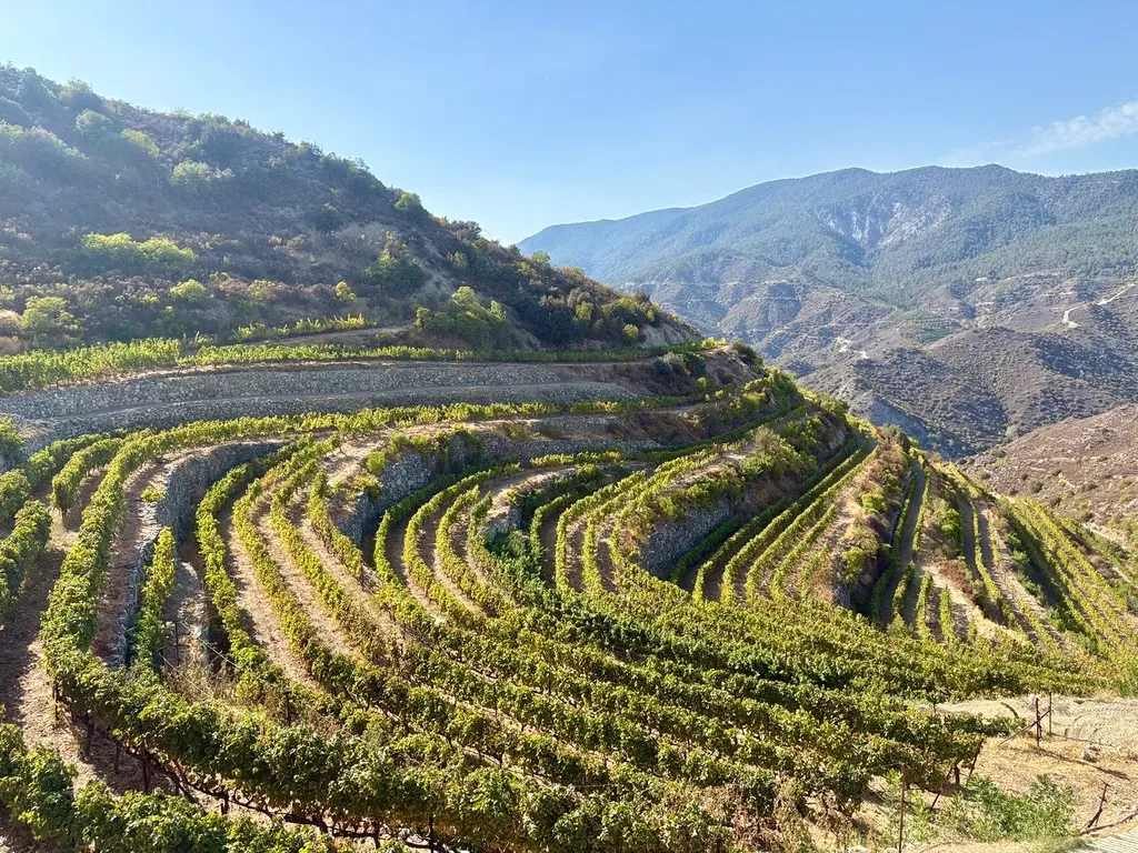 Cyprus Wine Tasting Experience Program